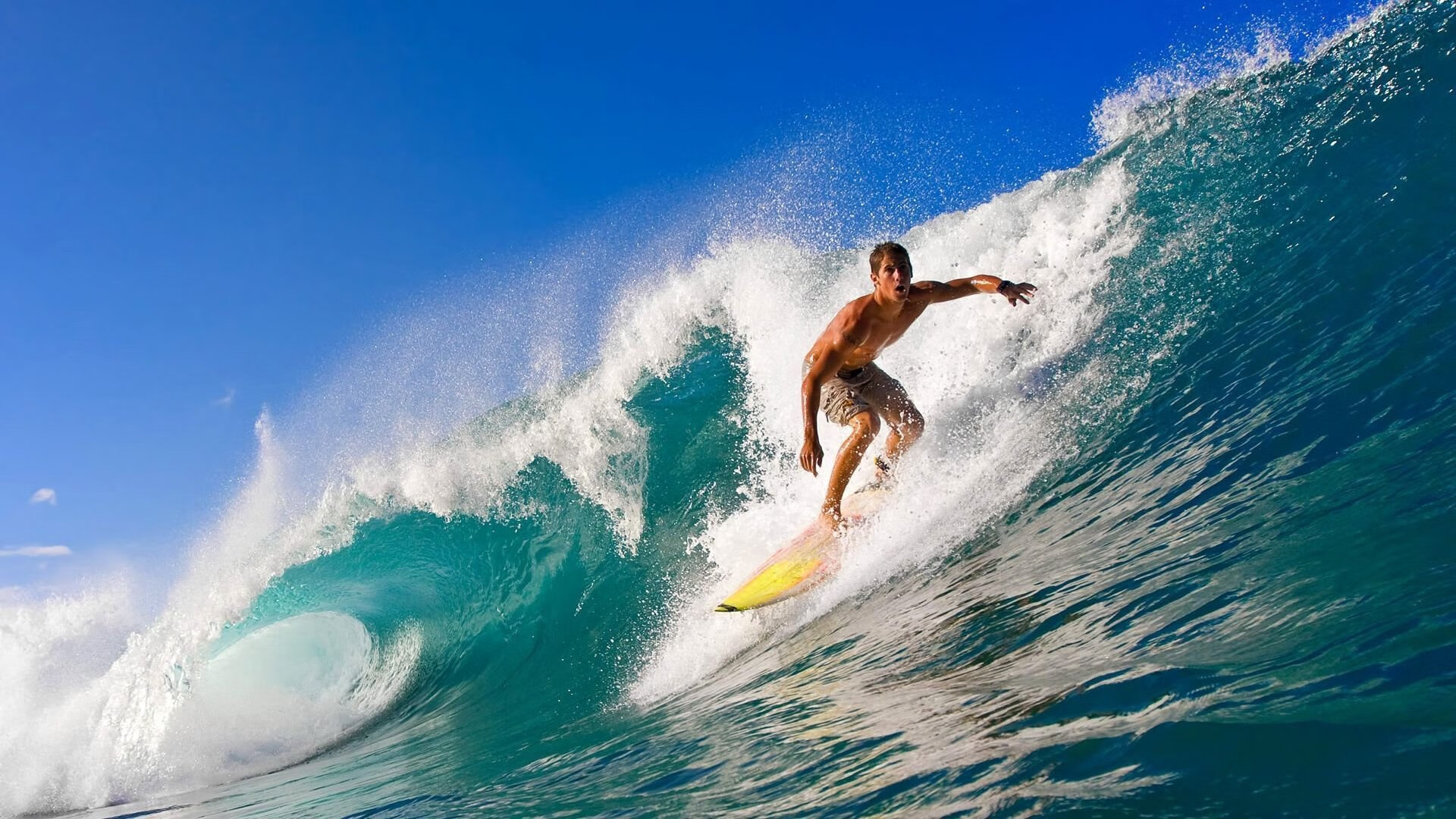 绿茵场上的绝杀与球台上的领航，当法国队逆转德国，林高远带队登顶